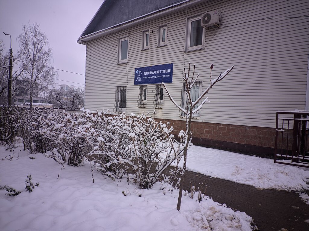 Veterinary clinic Veterinary station of the Frunzensky district of Minsk, Minsk, photo