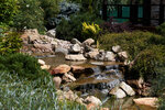 ReGarden (Marshala Zhukova Avenue, 51), landscape design