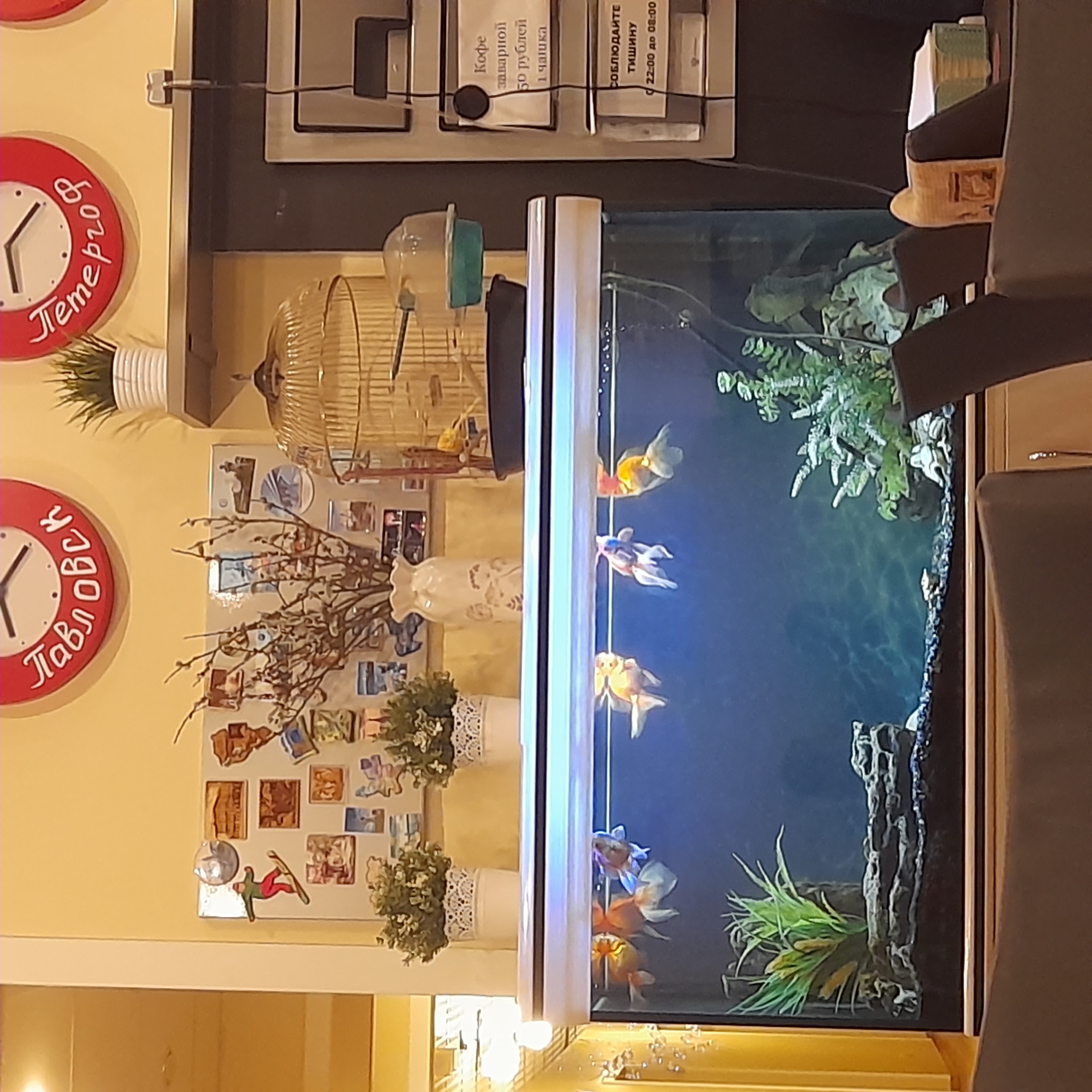 Фото Мини Мани