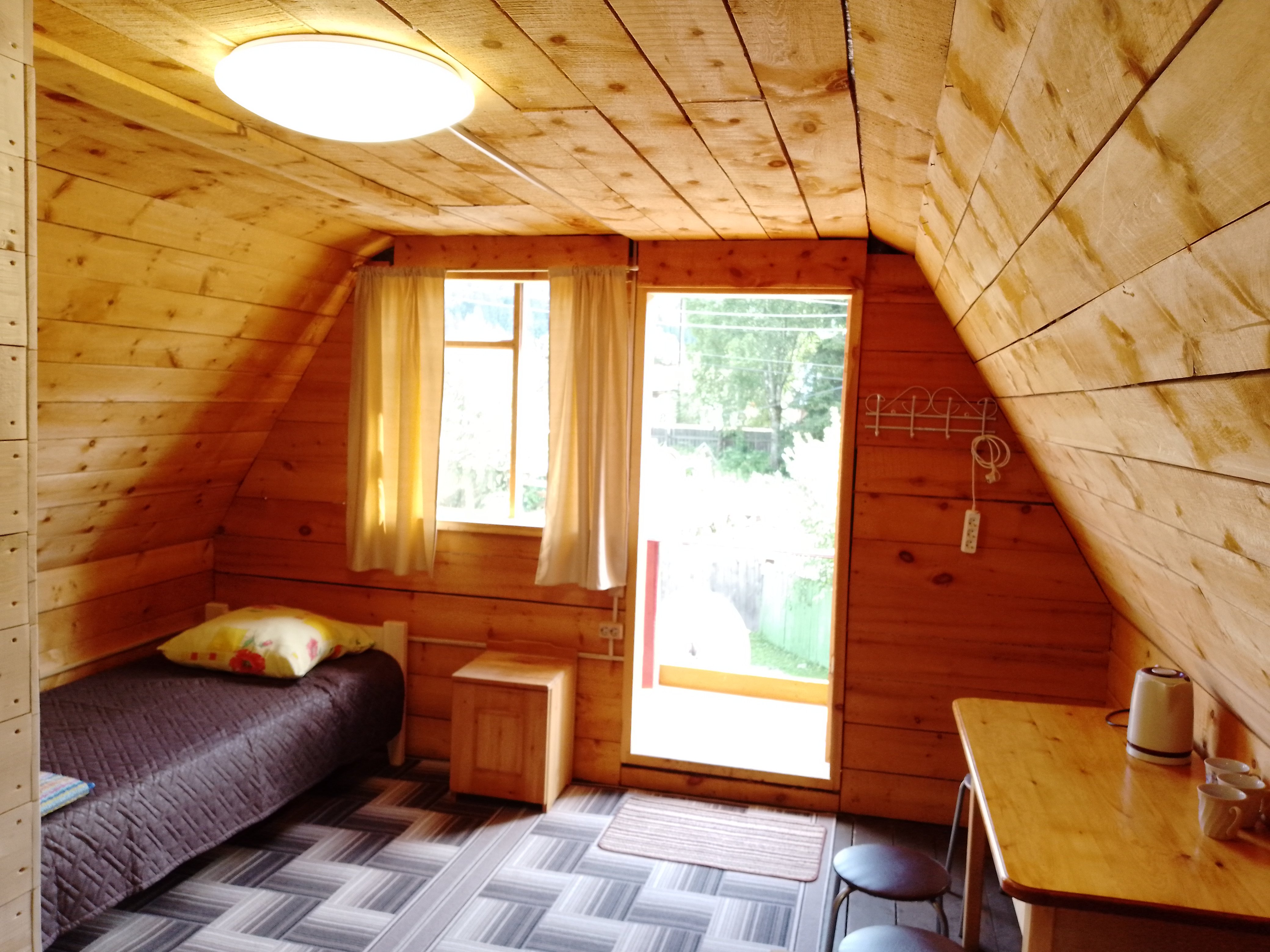 Фото Золотая рыбка