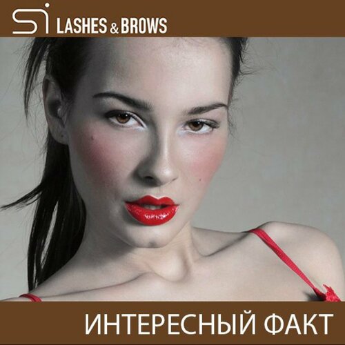 Perfume and cosmetic company Si Lashes & Brows, Moscow, photo