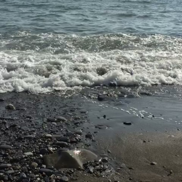 Фото Тихая Гавань