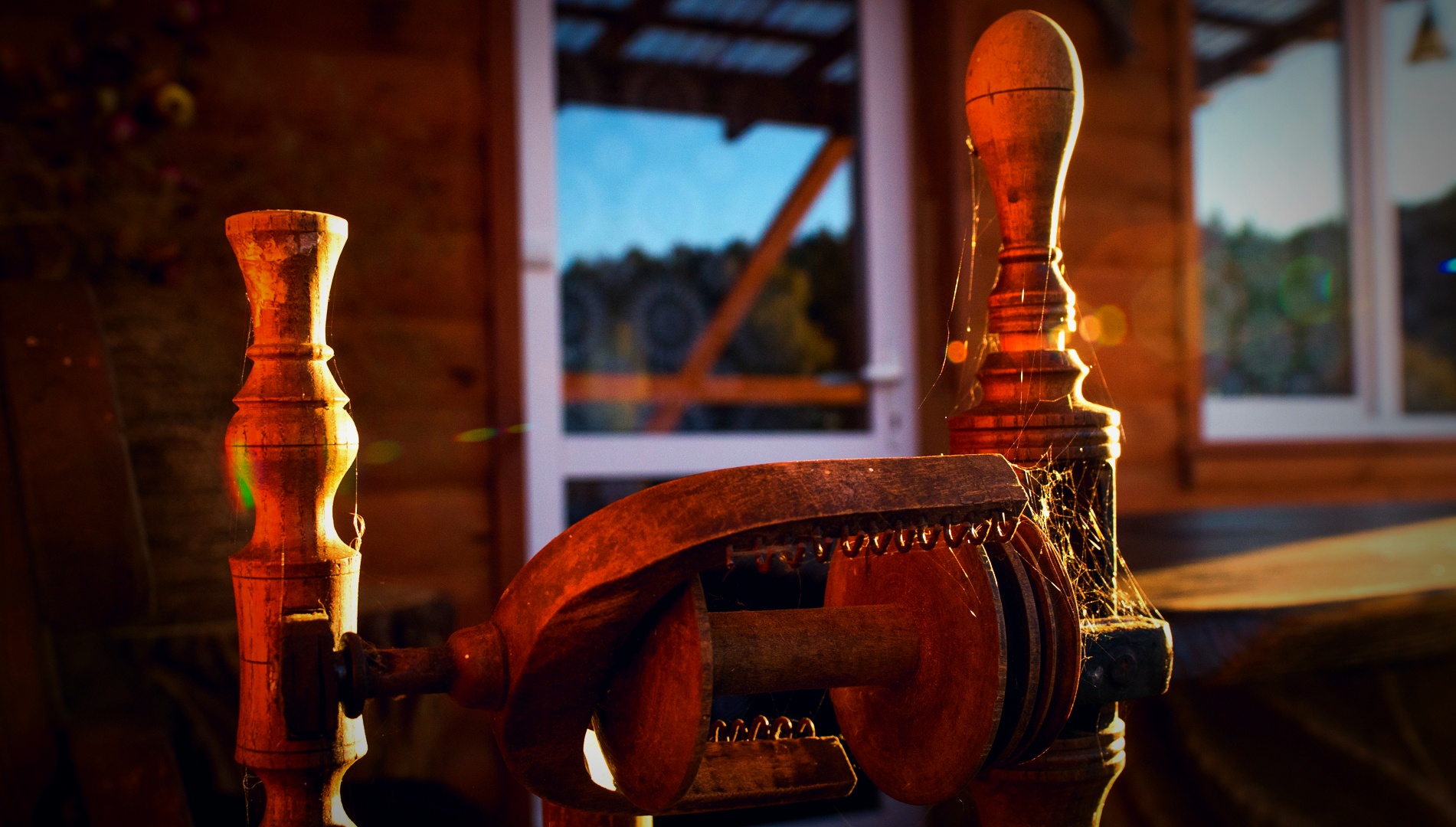 Фото Агроусадьба Мечта в Беловежской пуще