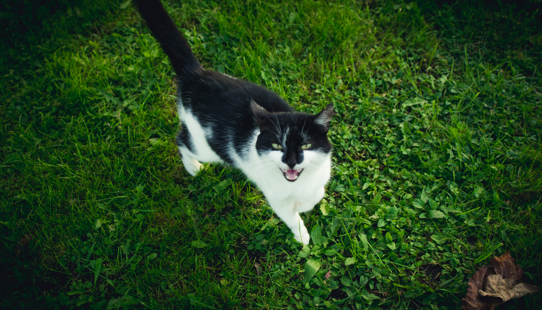 Фото Агроусадьба Мечта в Беловежской пуще