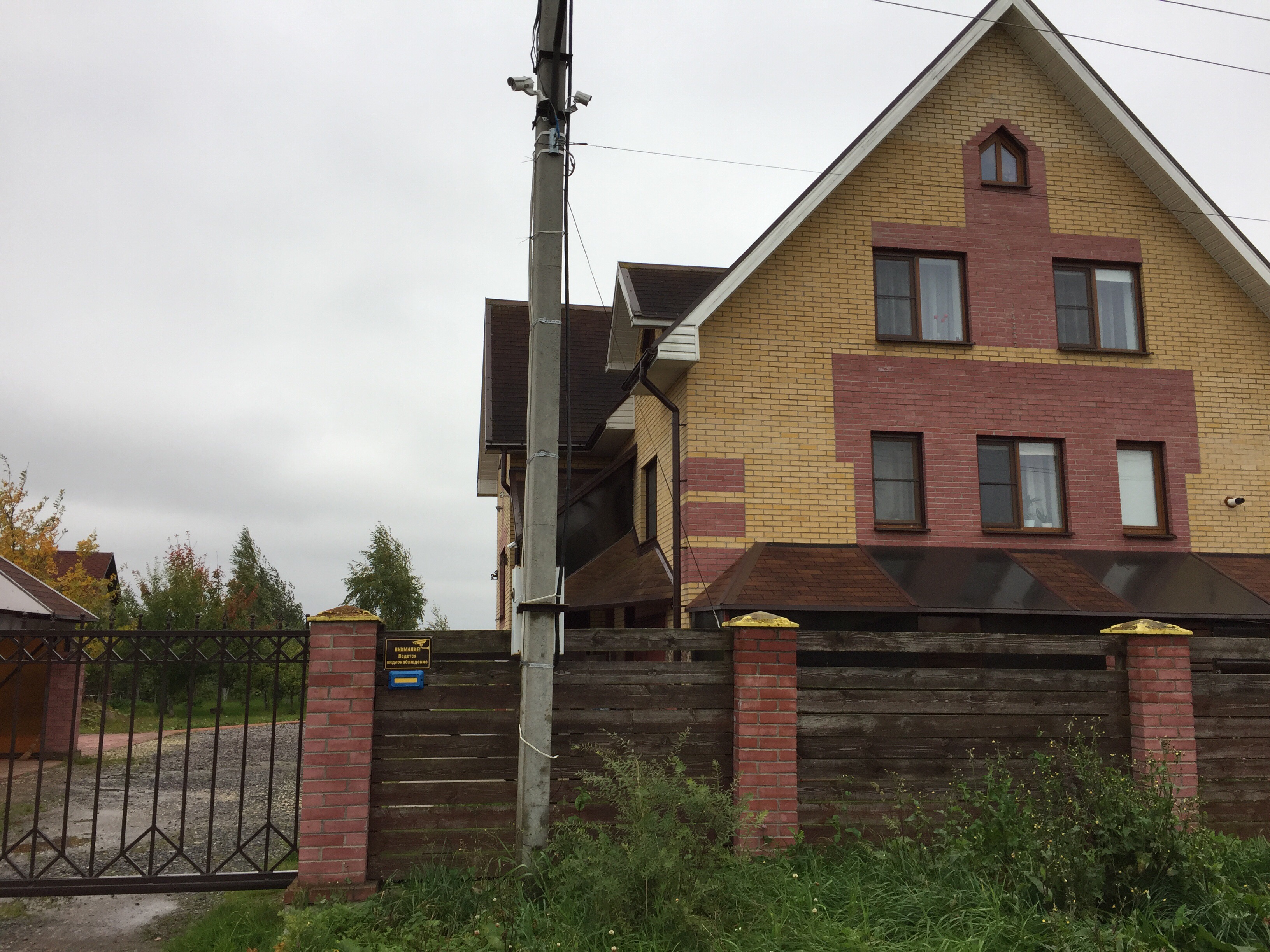 Фото Три клена