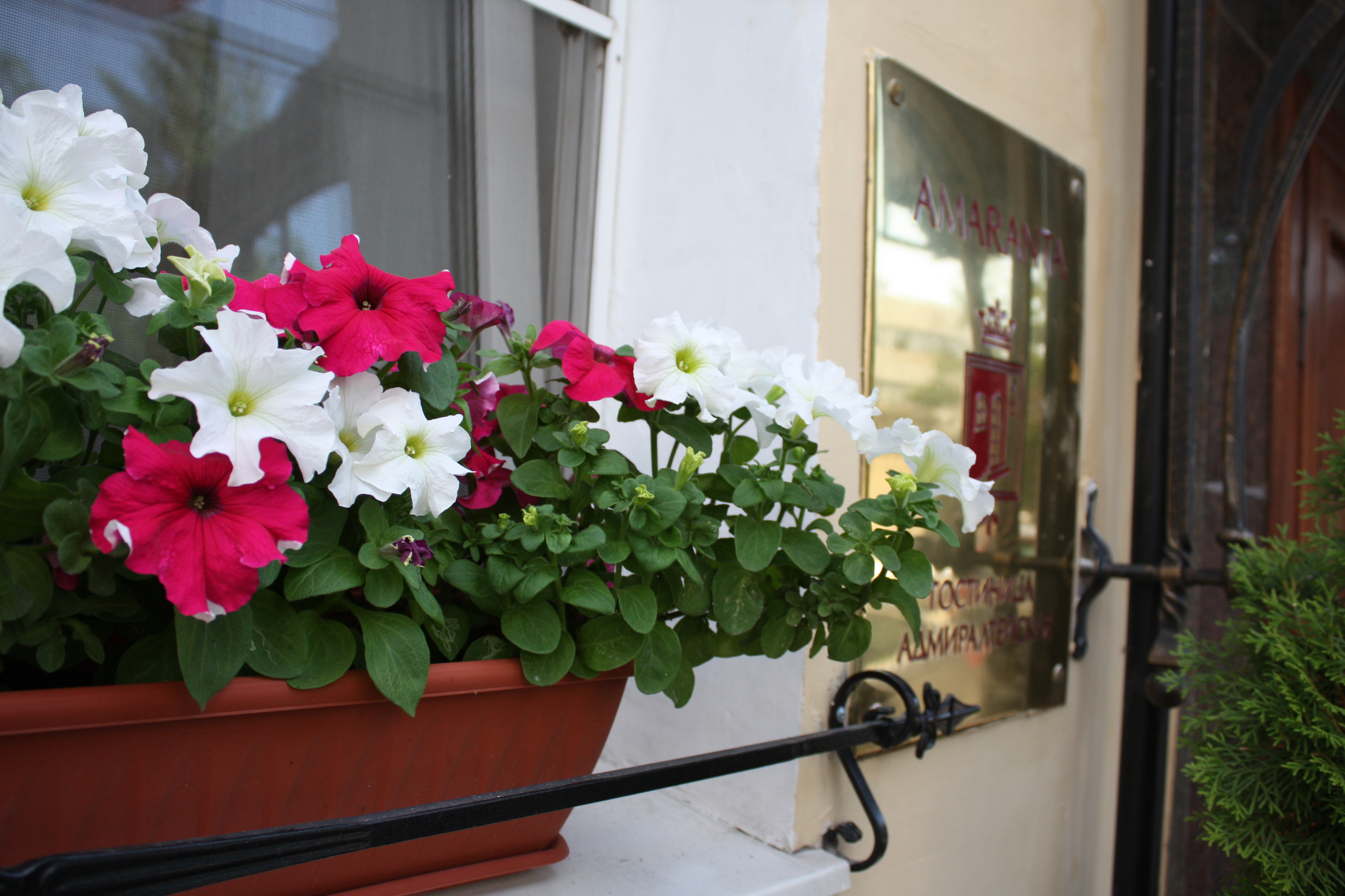 Фото Адмиралтейская