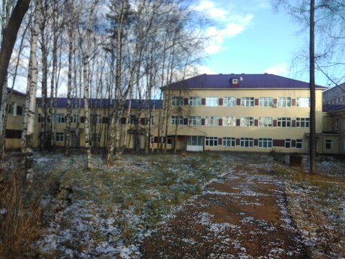 Больница для взрослых Буз УР Балезинская районная больница МЗ УР, Удмуртская Республика, фото