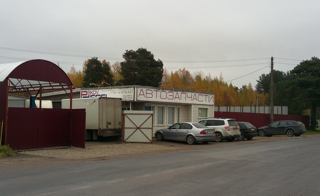 Auto parts and auto goods store Pskovdiesel, Pskov Oblast, photo