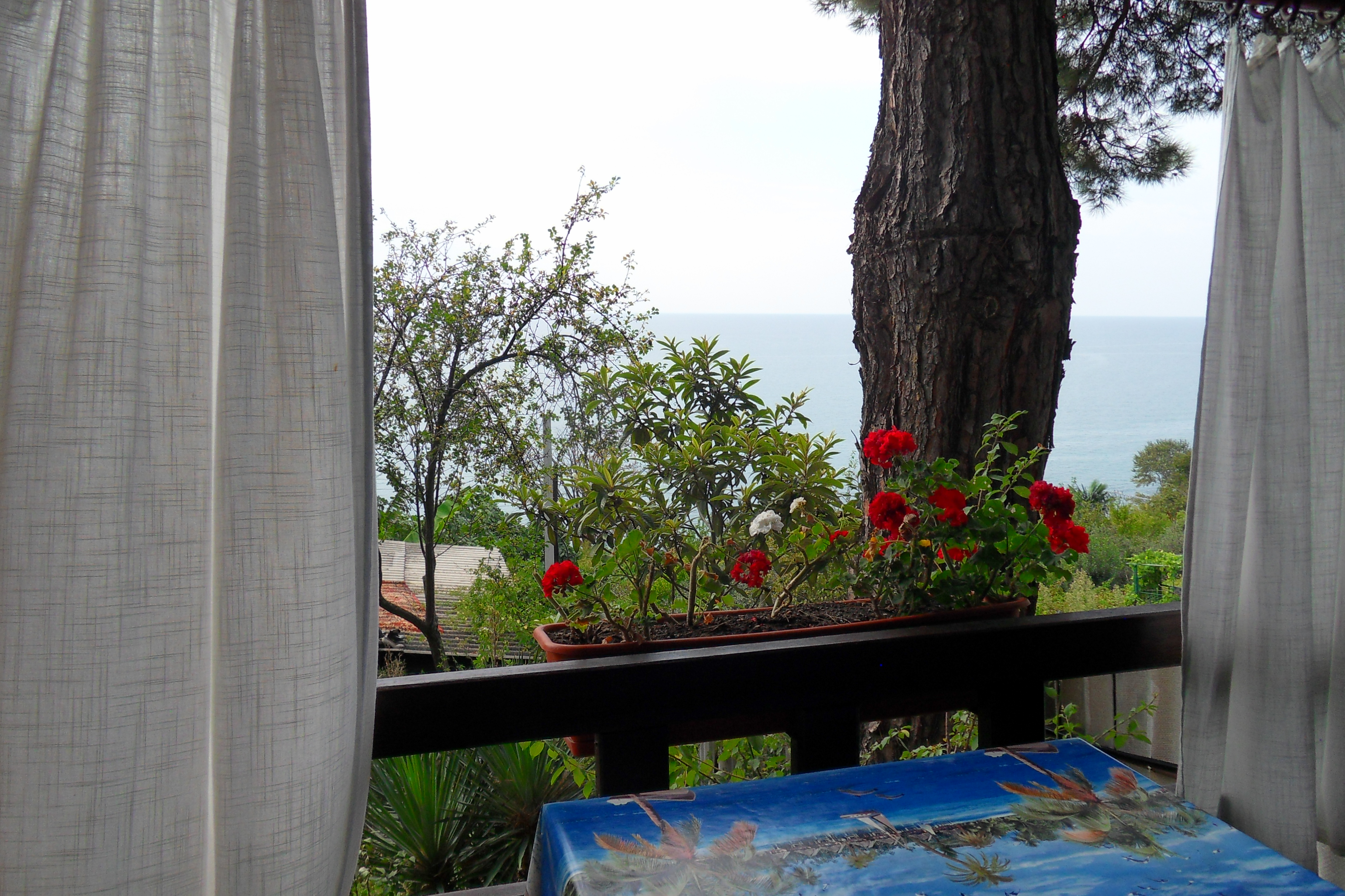 Фото Сосновый Бор