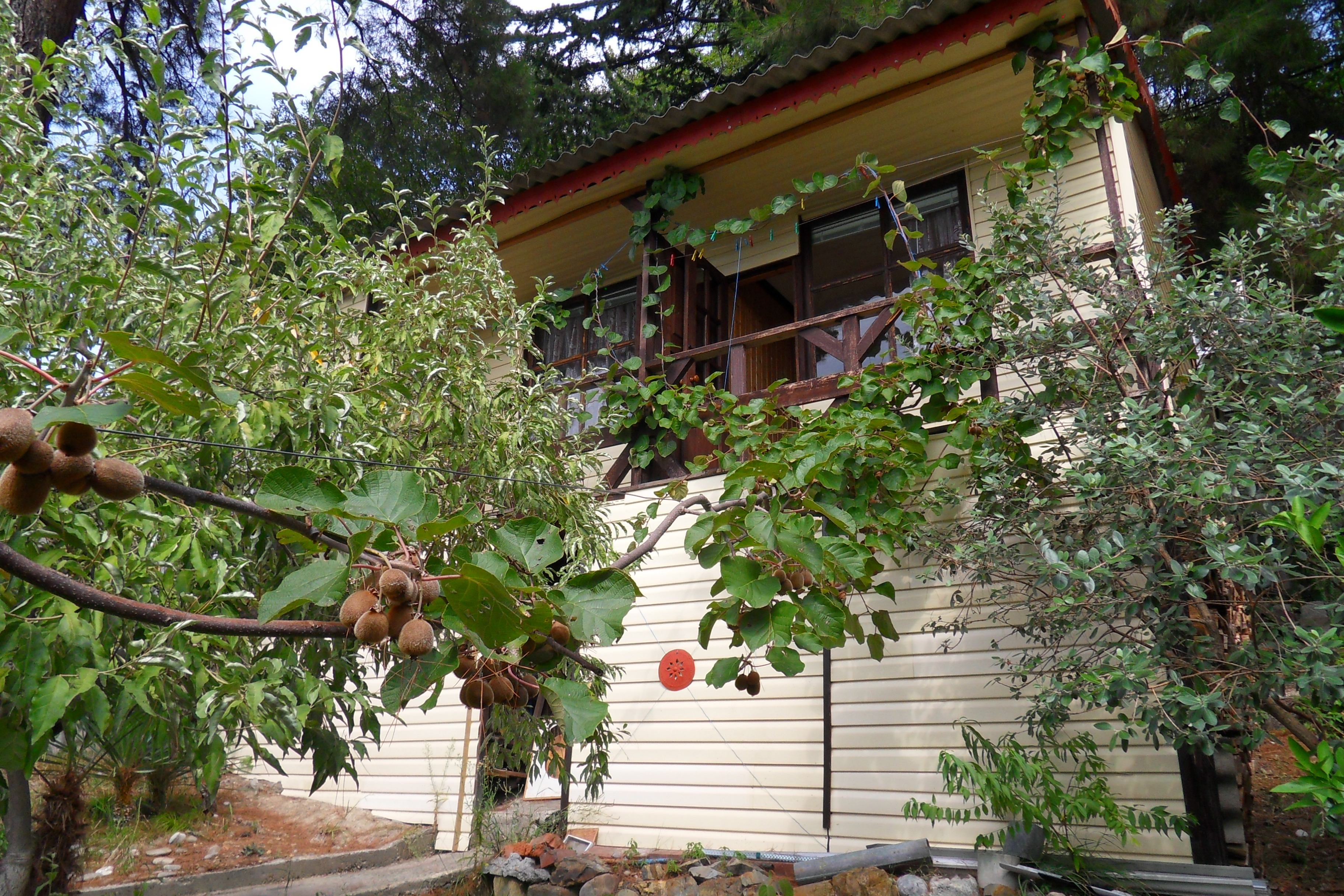 Фото Сосновый Бор