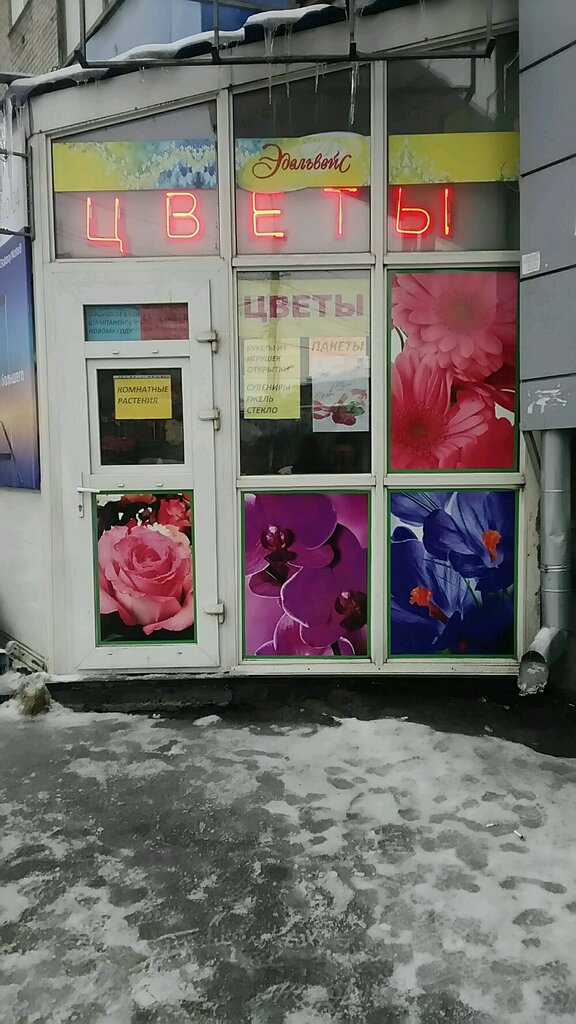 Эдельвейс Магазин Цветов