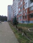 Studiya 11, Fotografiya i Reklama (Privolzhskiy City Administrative District, mikrorayon Gorki-3, Dubravnaya street, 38) ، التصوير الفوتوغرافي