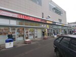 Leda (Yartsevskaya Street, 25А), dry cleaning