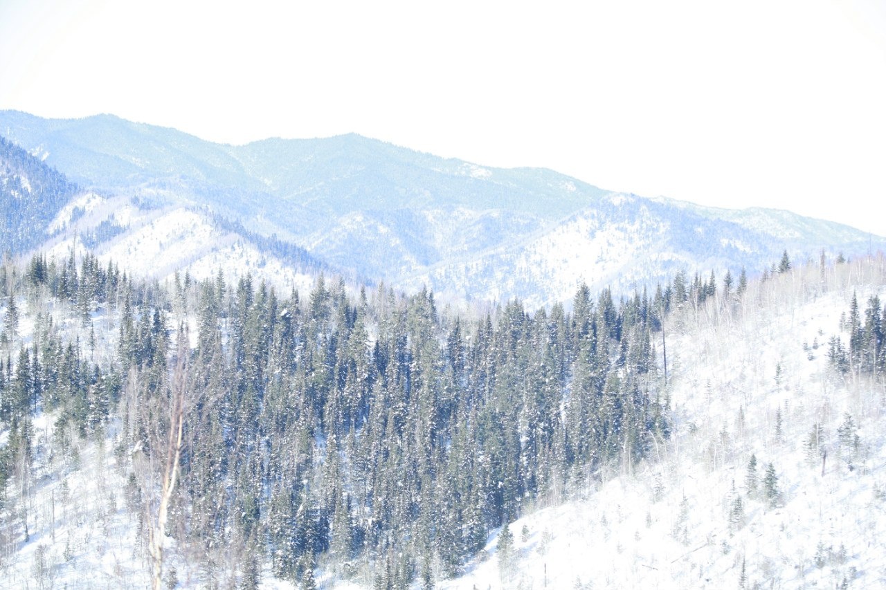 Фото Мельница