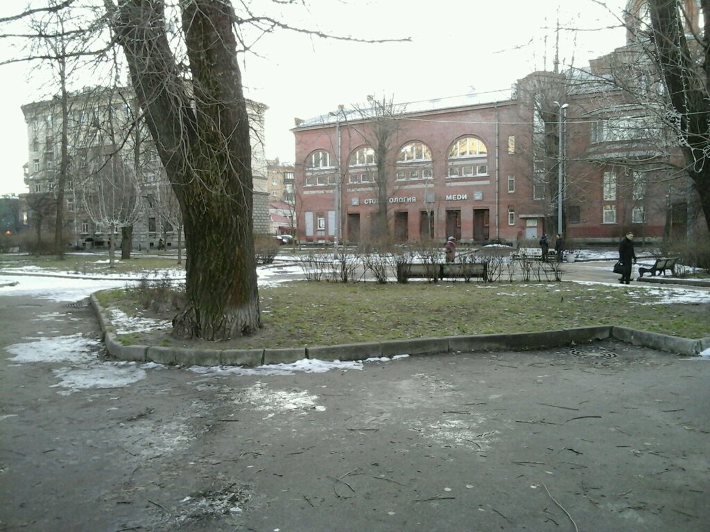 Park Geslerovskiy Garden, Saint Petersburg, photo