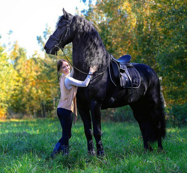 Horse riding Fairytale-horse, Himki, photo