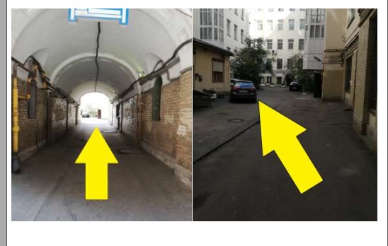 Фото ColorSpb Цветочный дом