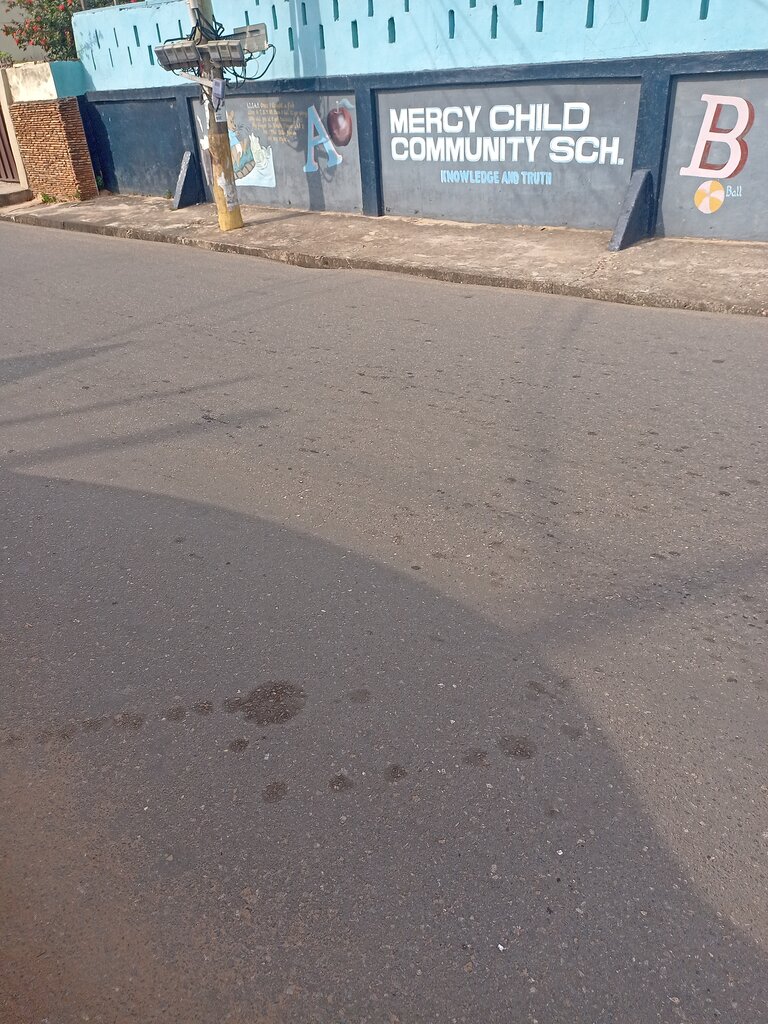 School Mercy Child Community School, Accra, photo