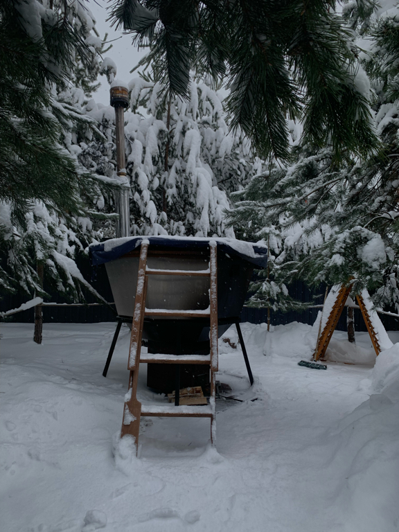 Фото Кусочек рая в соснах