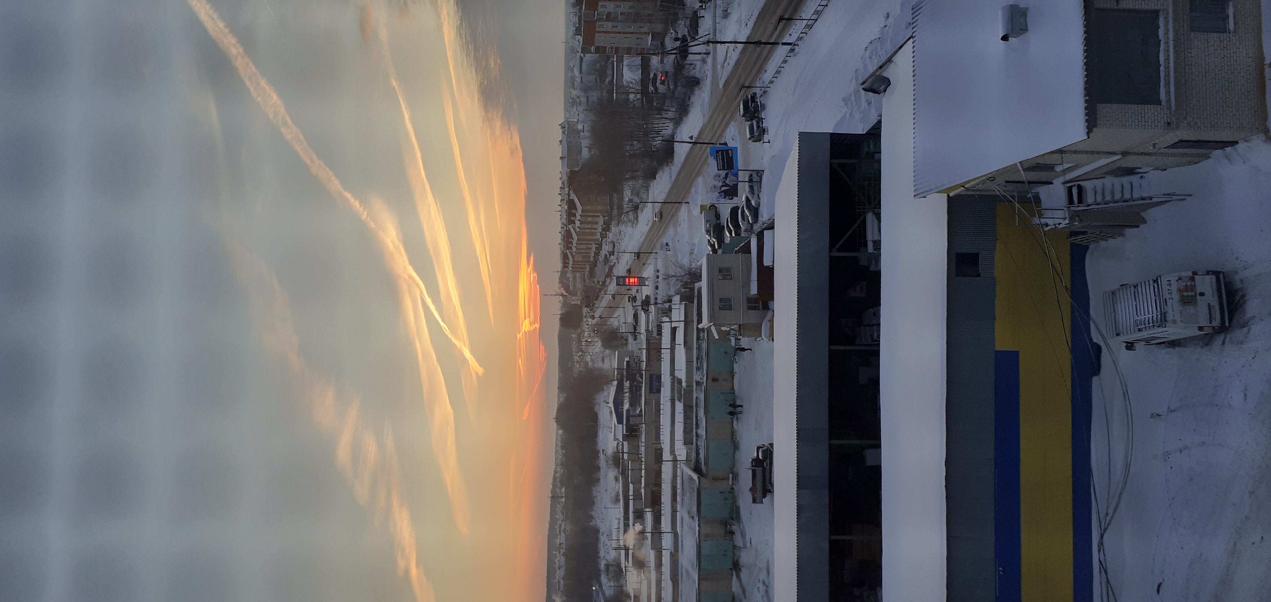 Фото Пантера