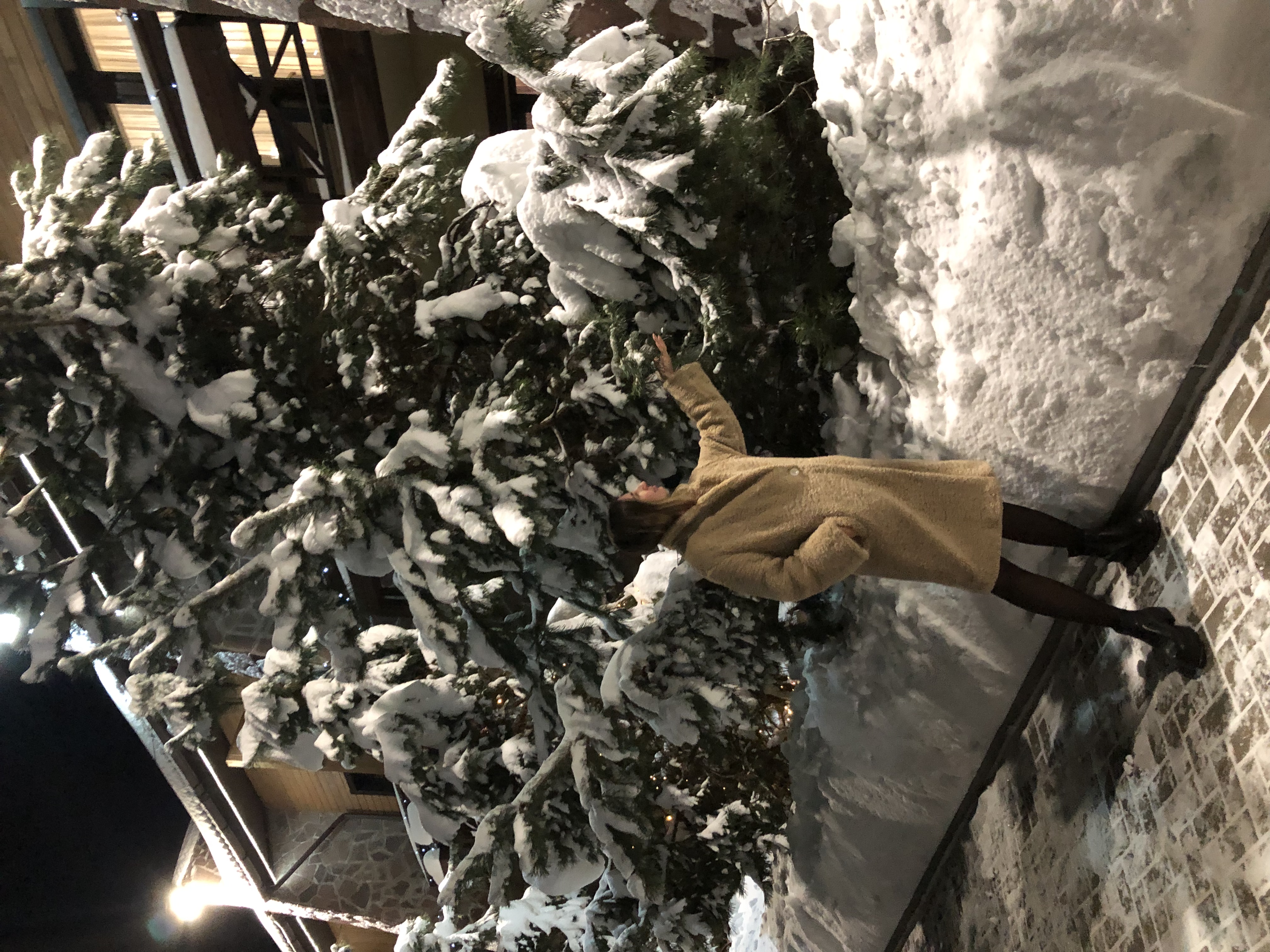 Фото Прованс