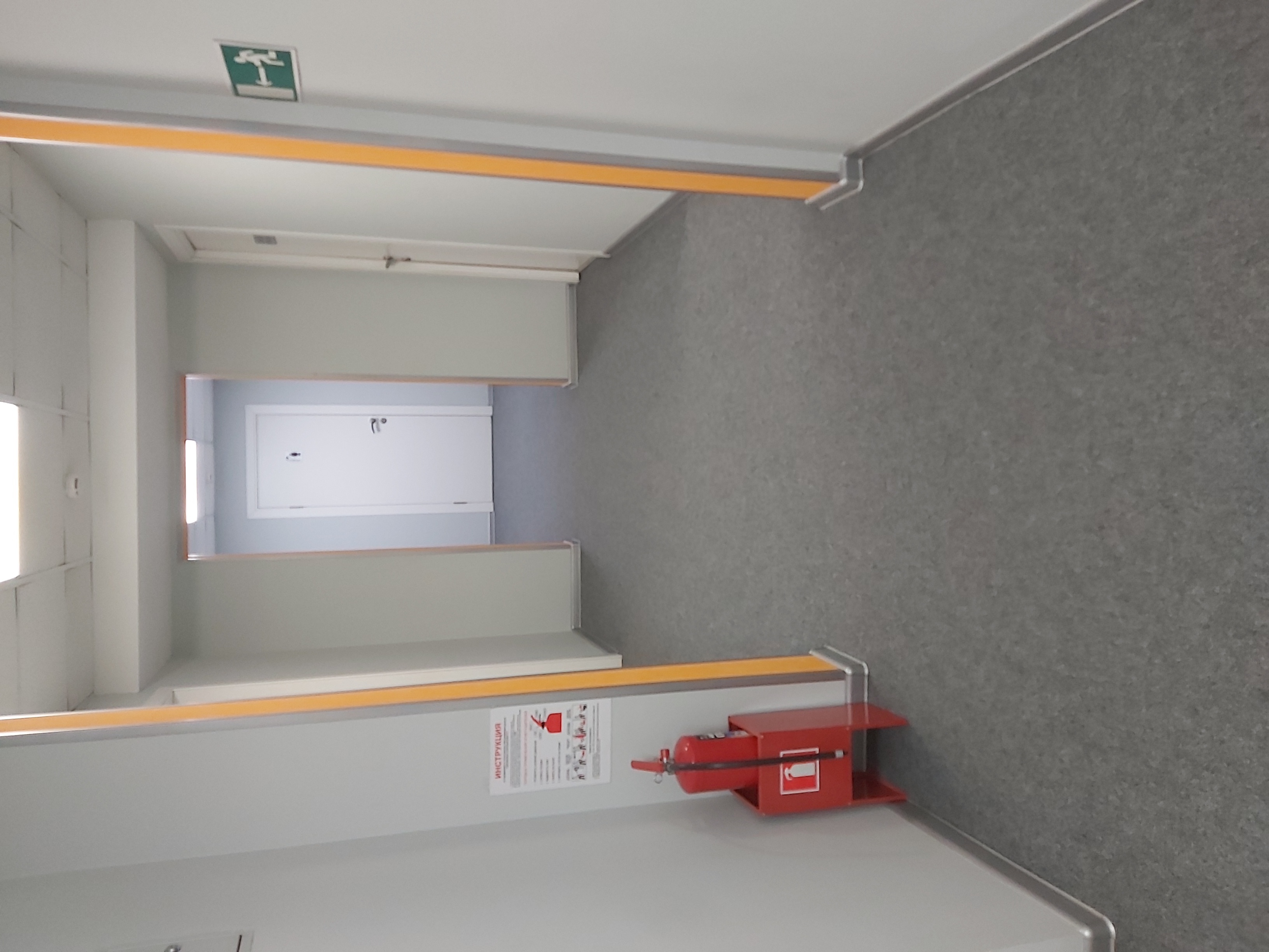 Фото Овсянка