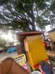 Mtn Mobile Money Merchant (Oshipi Street, 1), money transfers
