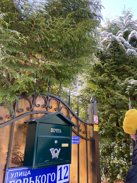 Фото Фламинго