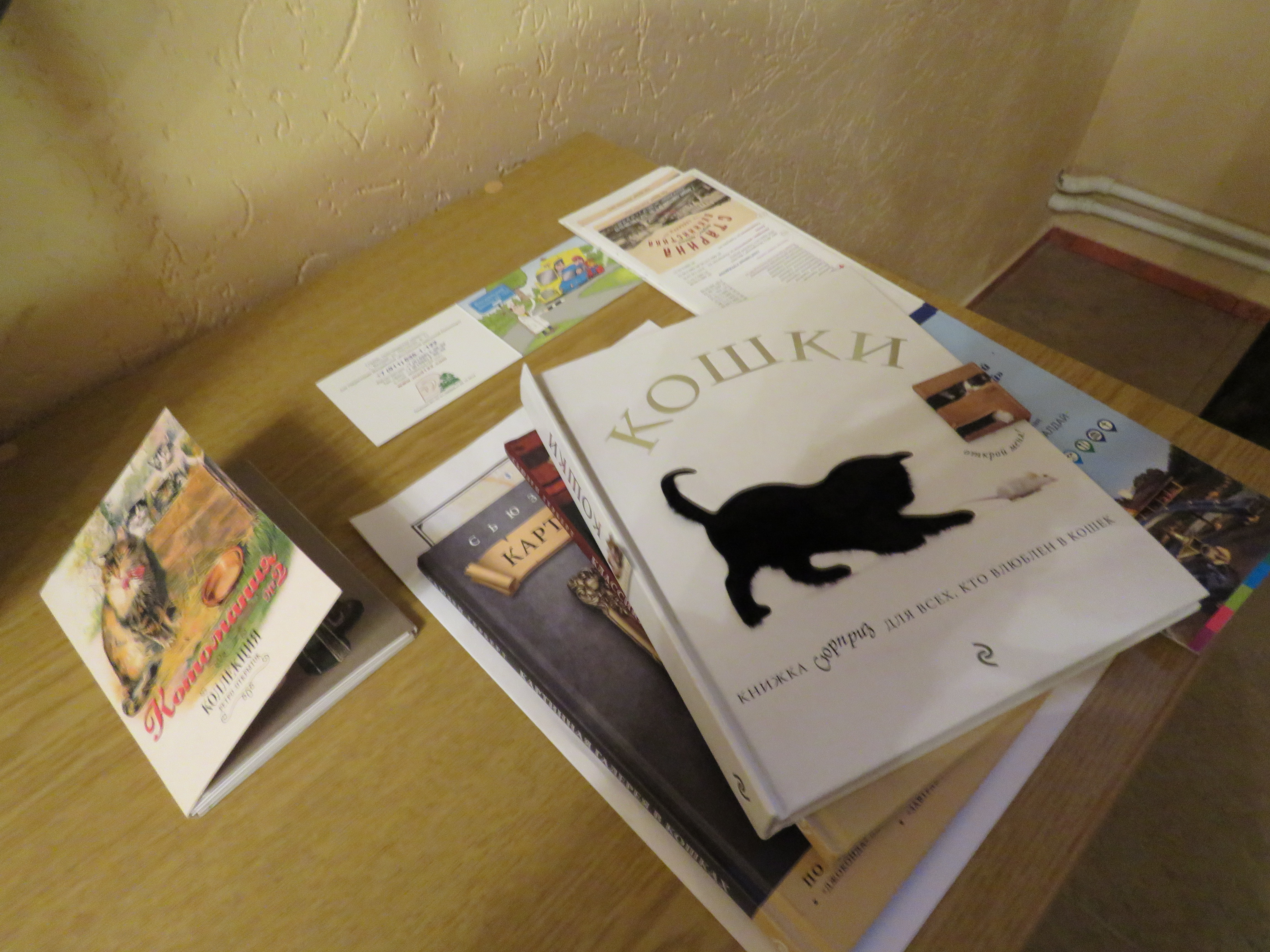 Фото Кот и кошка