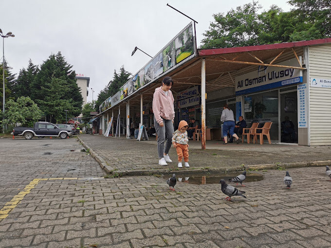 Bus station Findikli Bus Terminal, Findikli, photo