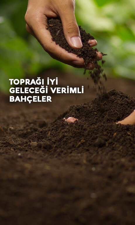 Landscape design Soy Landscaping & Soil, Istanbul, photo