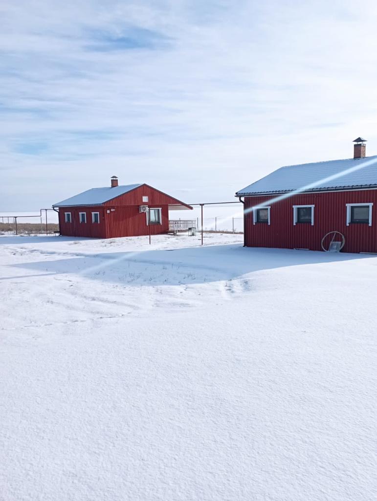 Фото Золотое