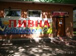 Бар Живое пиво (Tatarska Street, 38), cafetería
