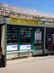 Telestar (Sobornaya ulitsa, 29), phone repair