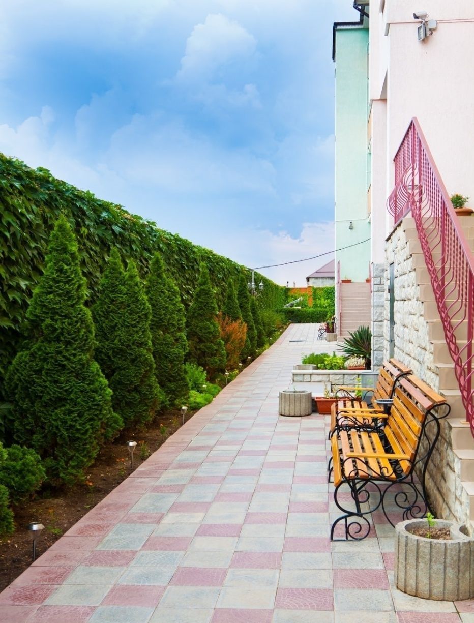 Фото Белый Лев