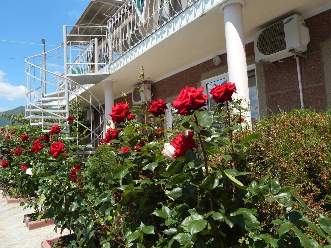 Фото Консульский дворик