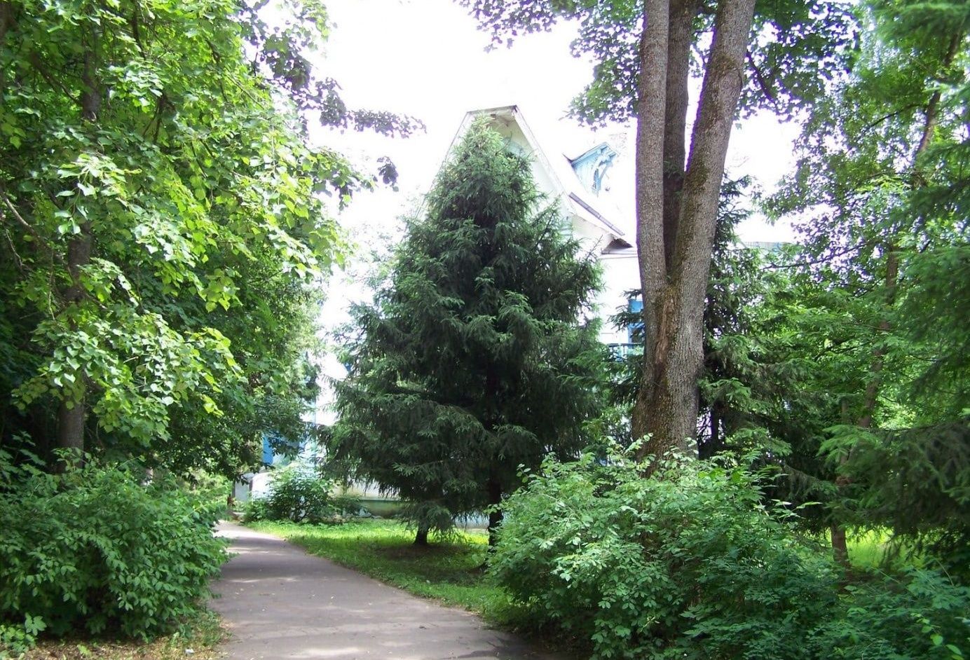 Фото Воробьёво