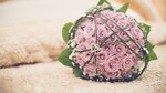 Weddingday-video по России (Sholokhova Avenue, 310А), photography