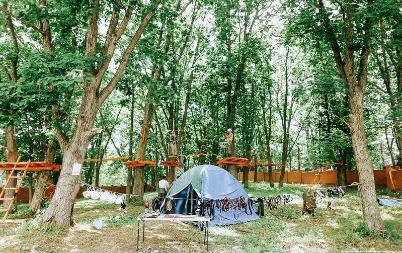 Фото Лесная поляна