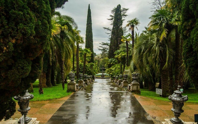 Nature reserve Sochi National Park Arboretum, Sochi, photo