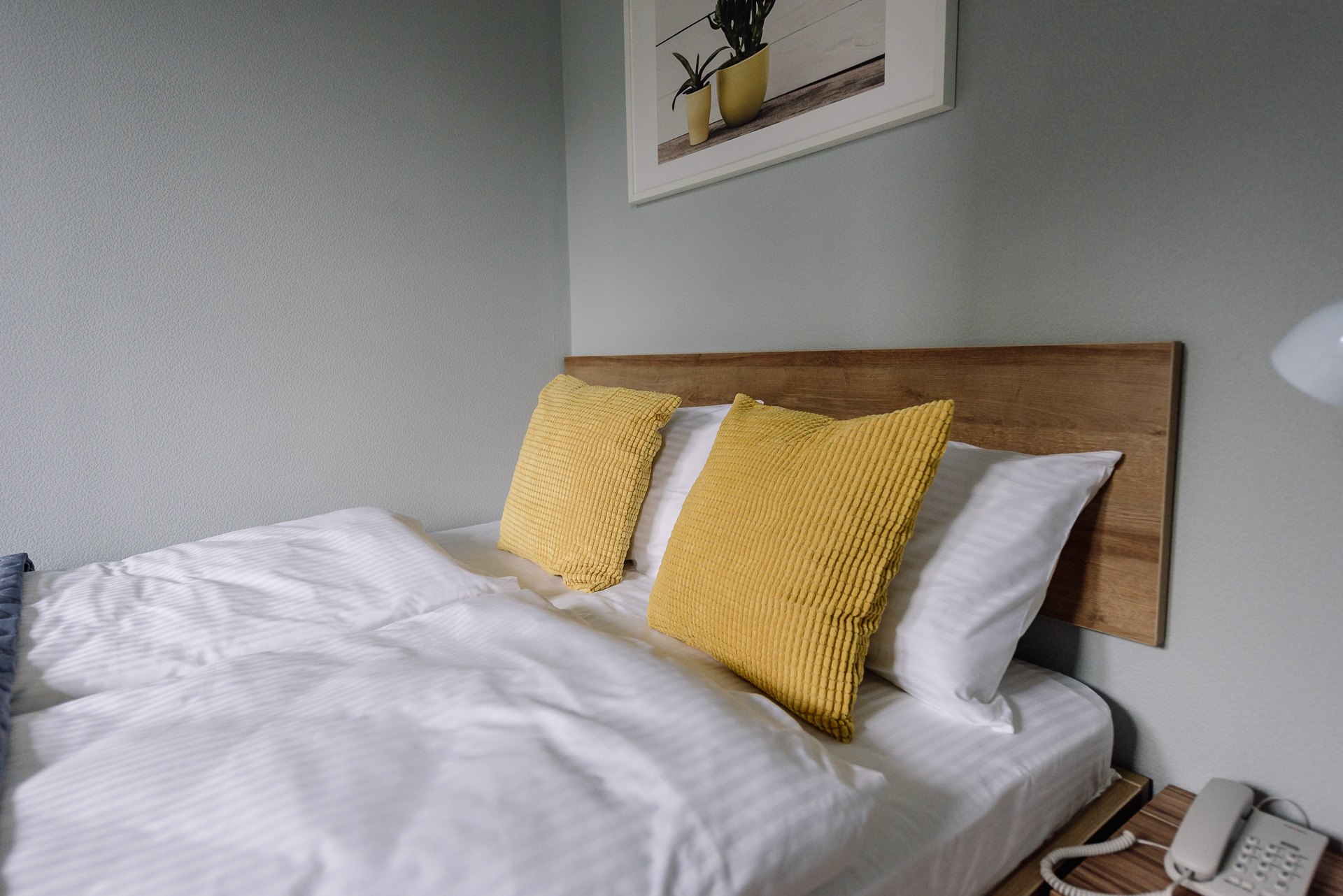 Фото Стандарт отель