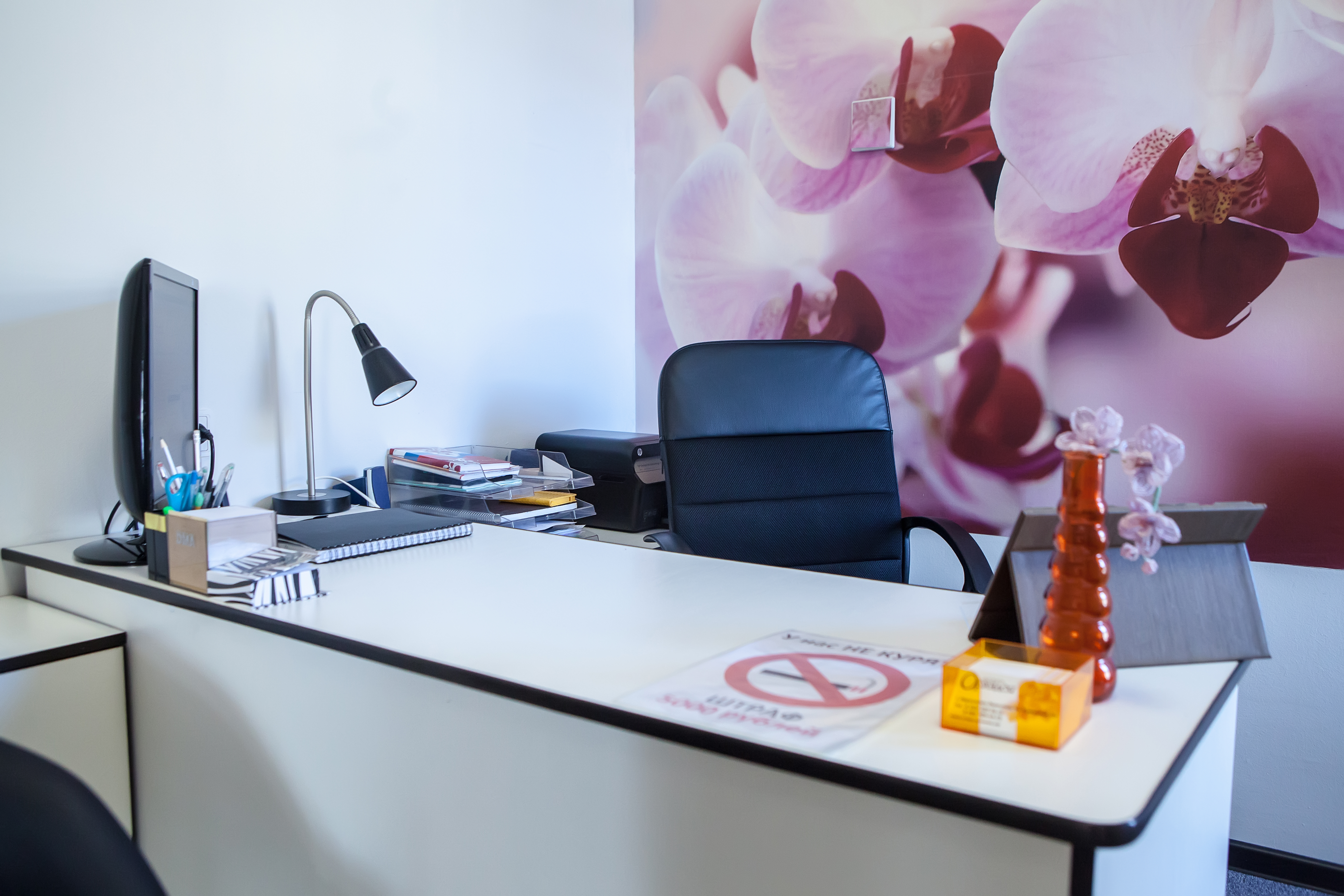 Фото Орхидея