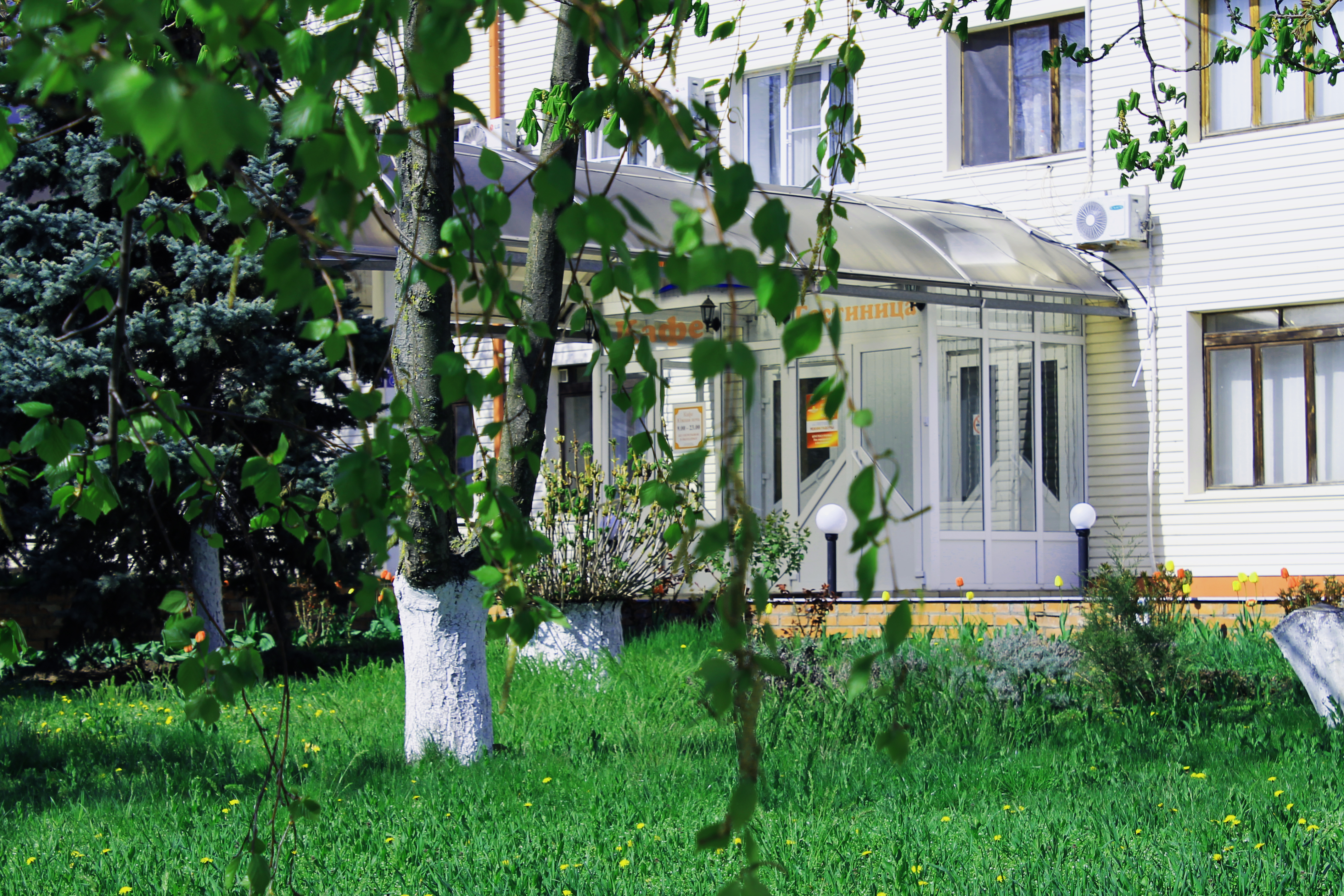 Фото Южная ночь