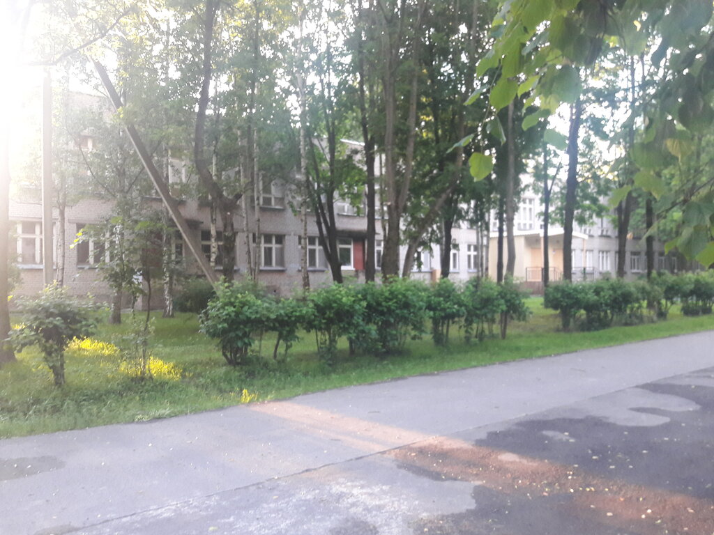مدرسة Osnovnaya obshcheobrazovatelnaya shkola № 460 ، سان بطرسبرغ، صورة