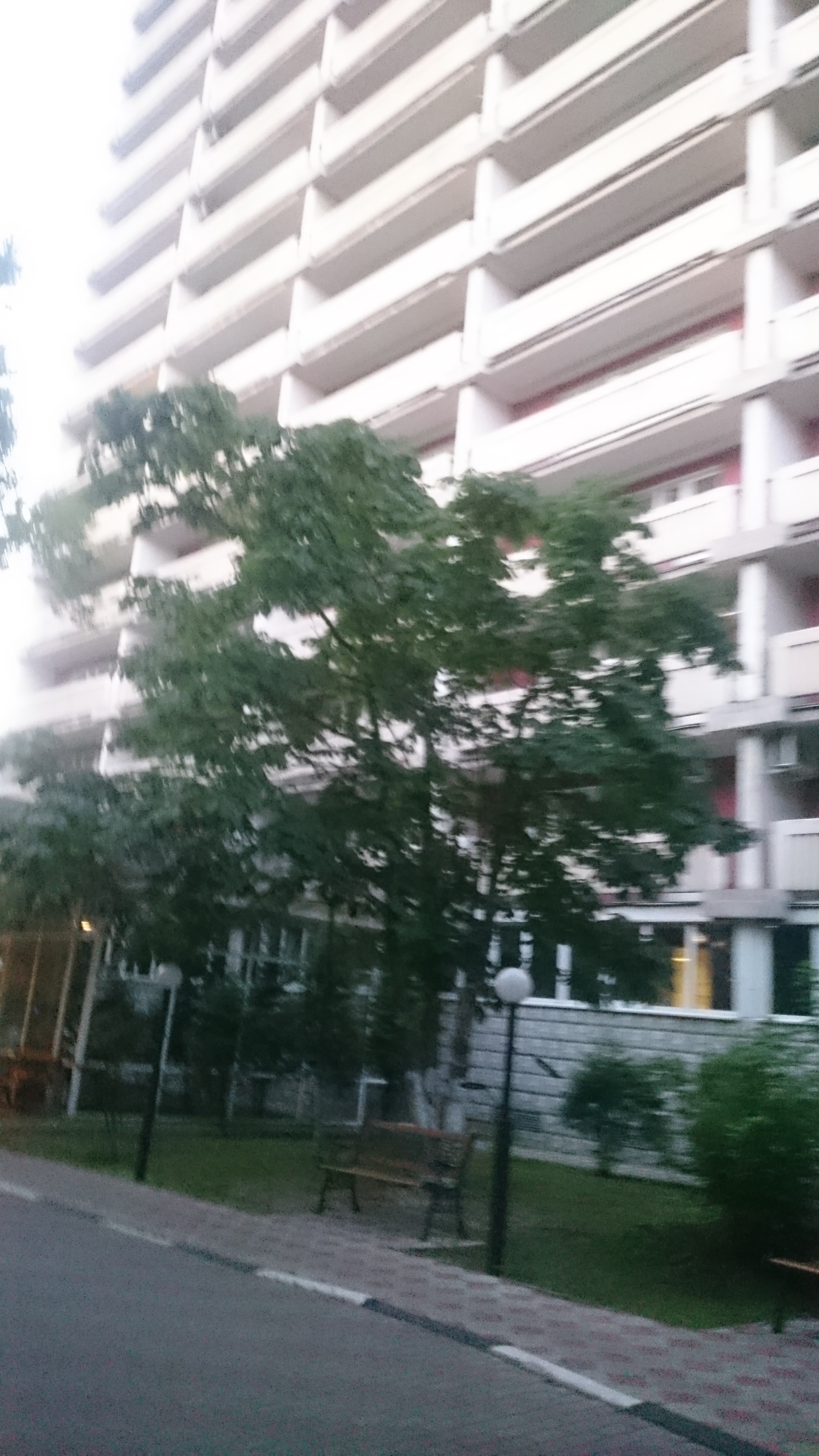 Фото Москвич