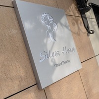 Фото Серебряная лошадь