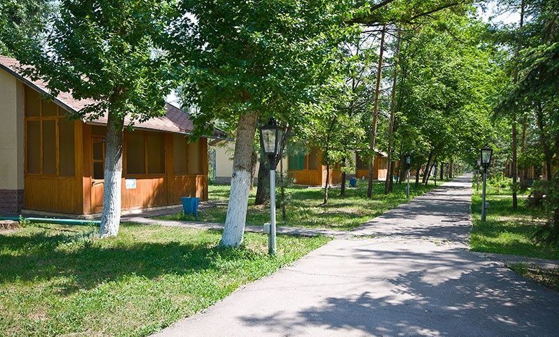 Фото Ветерок