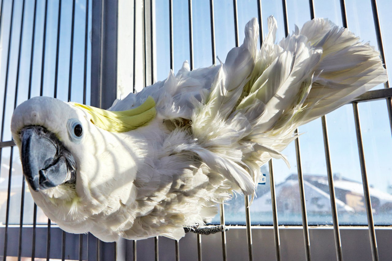 Фото Северный Берег