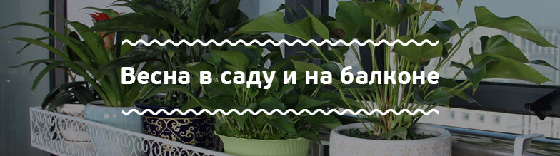 Интернет Магазин Зеленая Страна