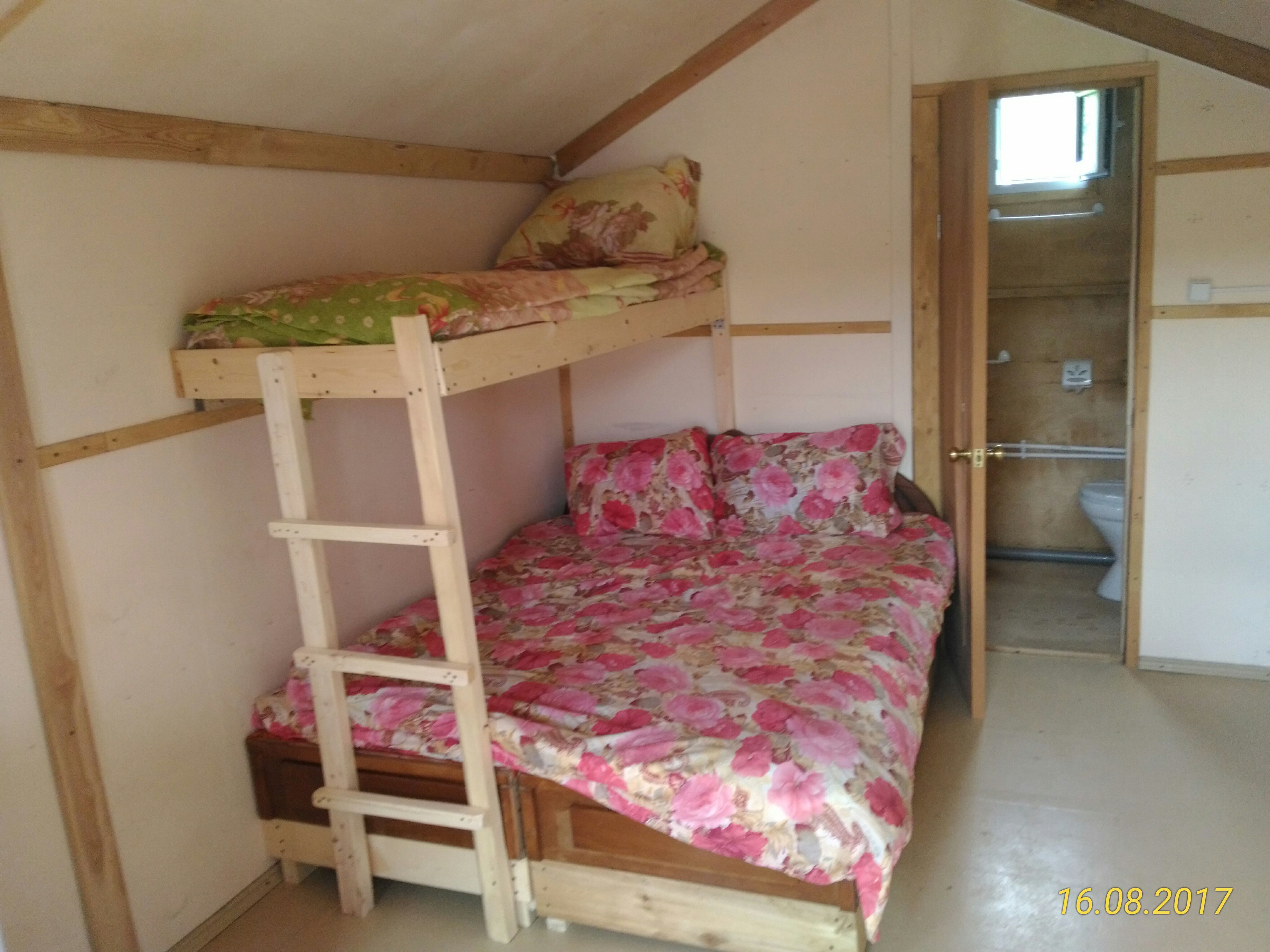 Фото Ромашка-Витязь